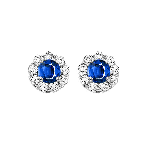 14k white gold color ensembles halo prong sapphire earrings 3/4 ct