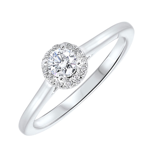 14k white gold complete micro prong diamond ring (1/3 ct. tw.)