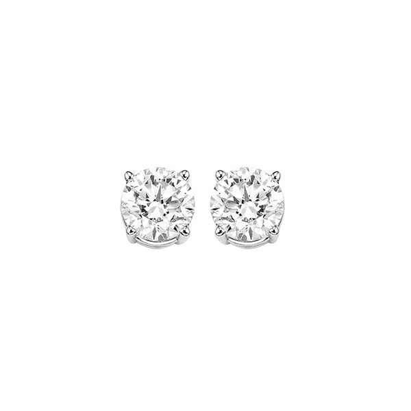 diamond round classic solitaire stud earrings in 14k white gold (3/4 ctw)